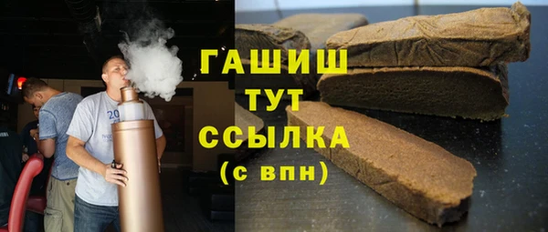 индика Краснослободск