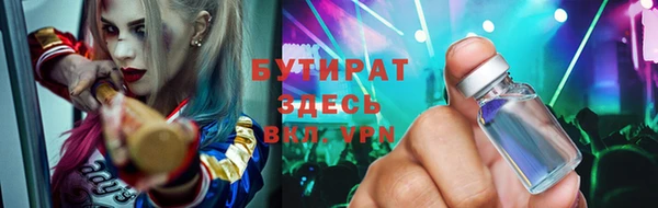 индика Краснослободск