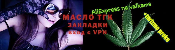 индика Краснослободск