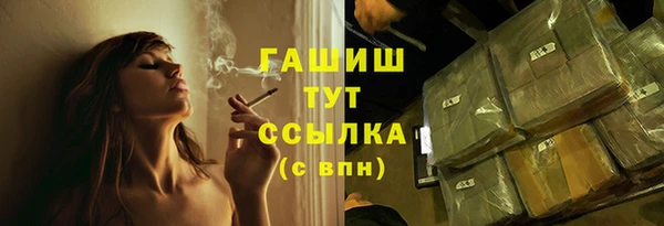 индика Краснослободск