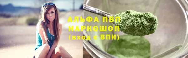 индика Краснослободск