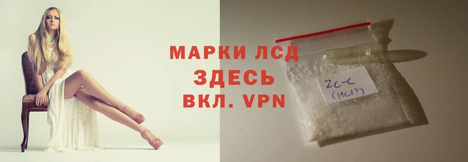индика Краснослободск