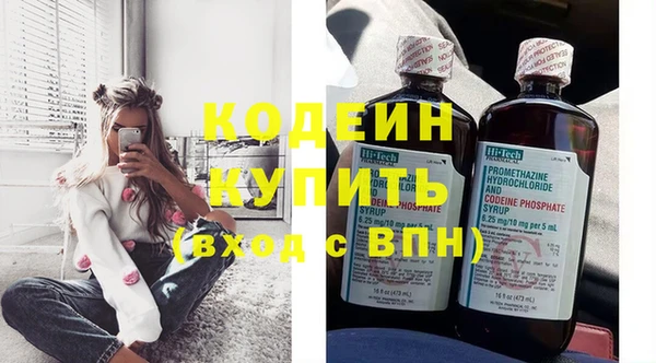 индика Краснослободск