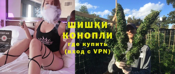 индика Краснослободск
