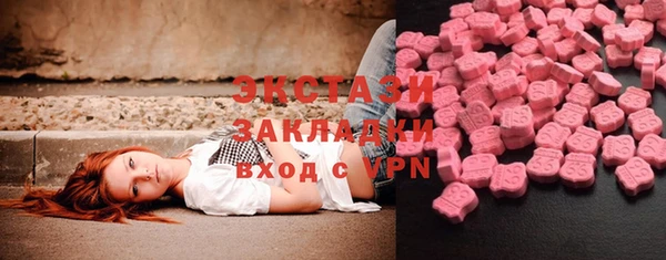 индика Краснослободск