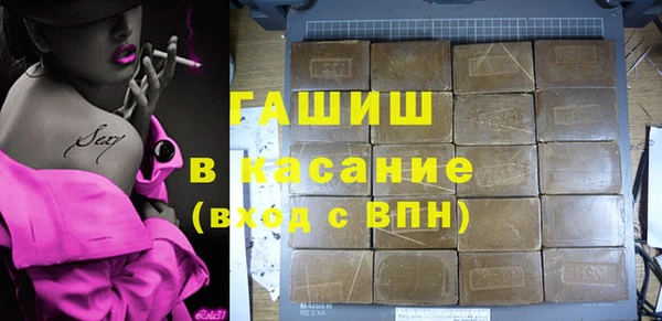 индика Краснослободск