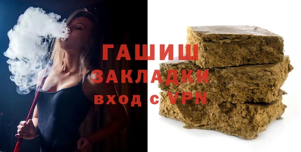 индика Краснослободск