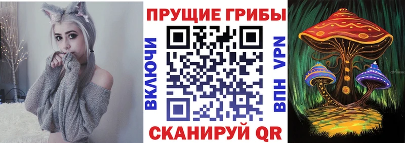 Галлюциногенные грибы MAGIC MUSHROOMS  Купить  Аркадак 